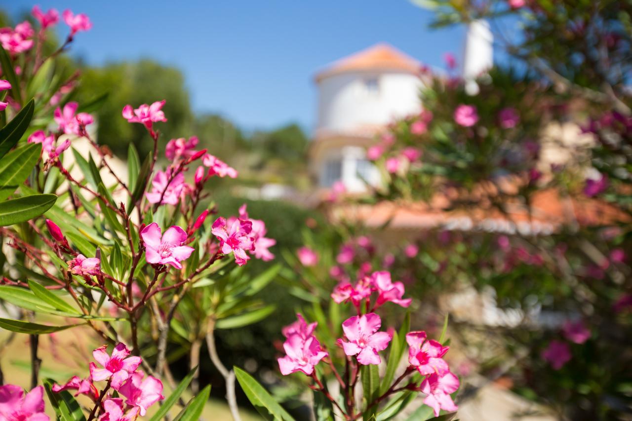 Quinta Do Cabo Guesthouse Azoia  Extérieur photo